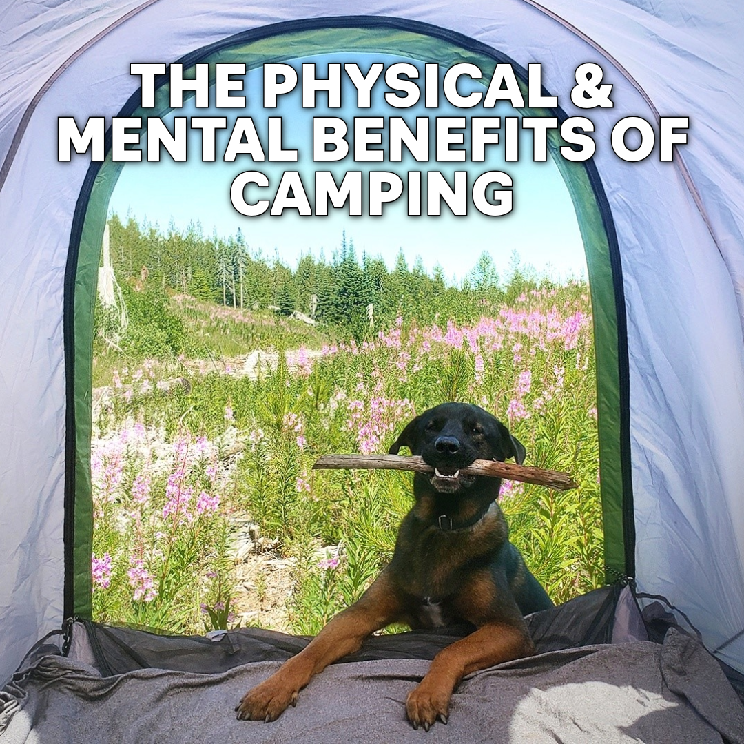 The Physical and Mental Benefits of Camping