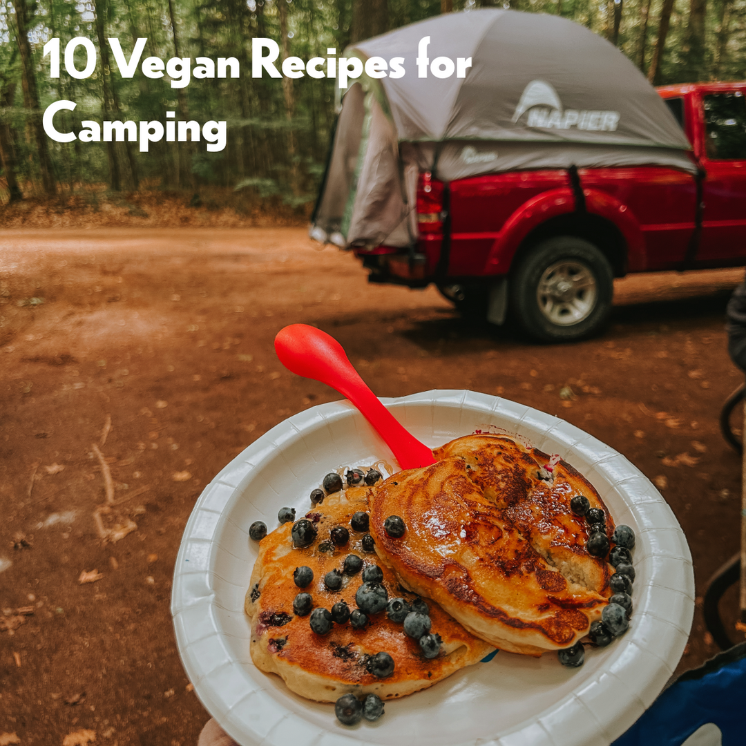 10 Easy Vegan Camping Recipes