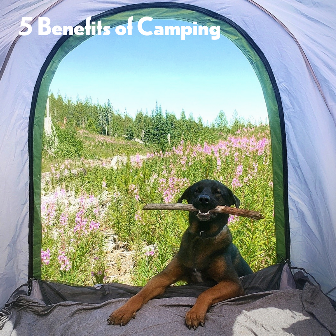 5 Physical and Mental Benefits of Camping