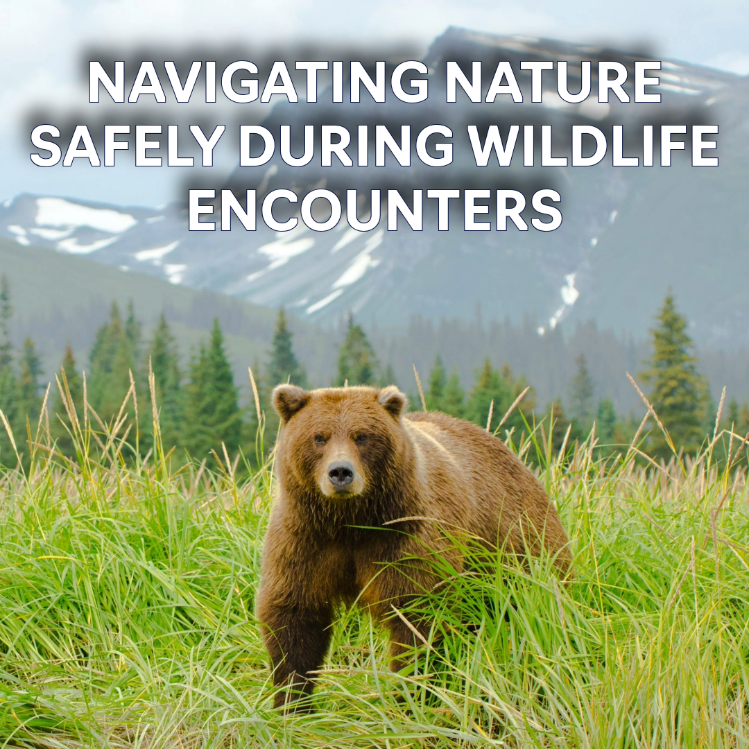 Navigating Nature Safely during Wildlife Encounters