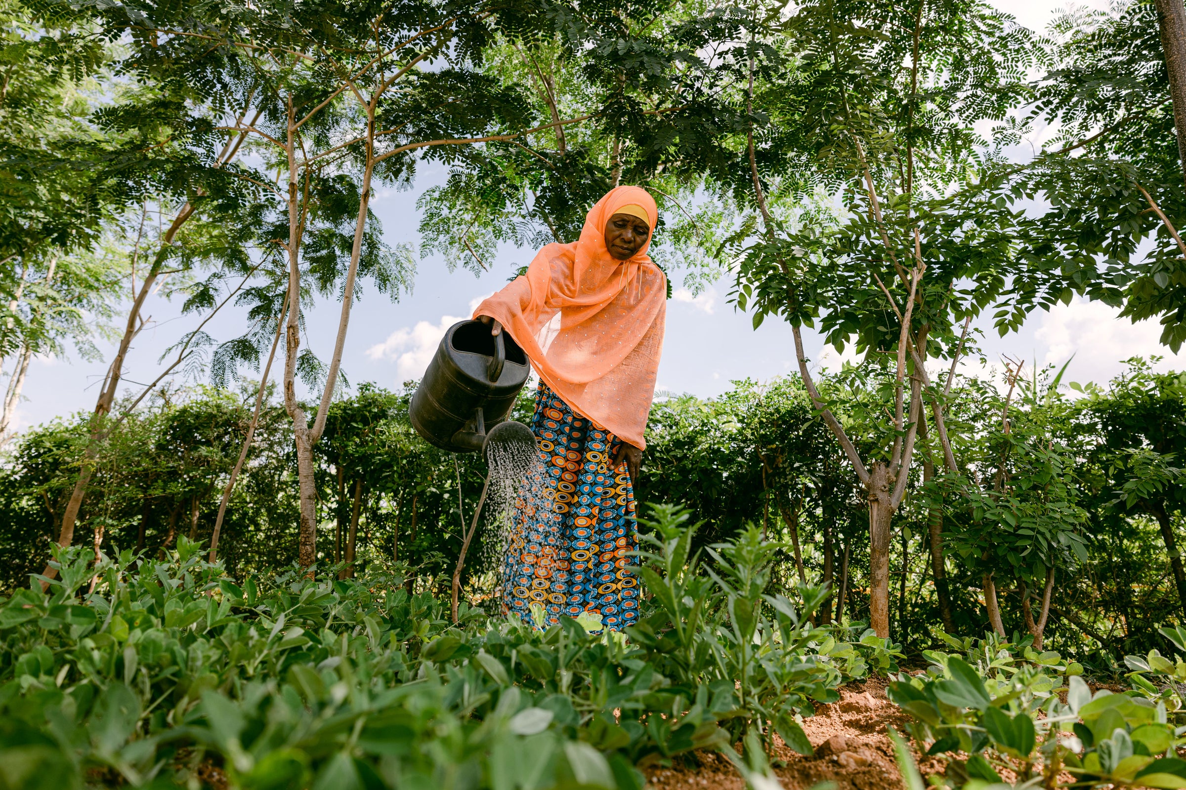 Woman watering plants