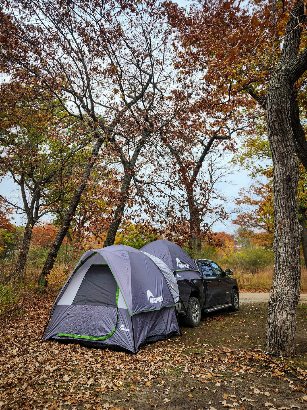 Napier outdoors truck tent and link tent attachment set up in the forest