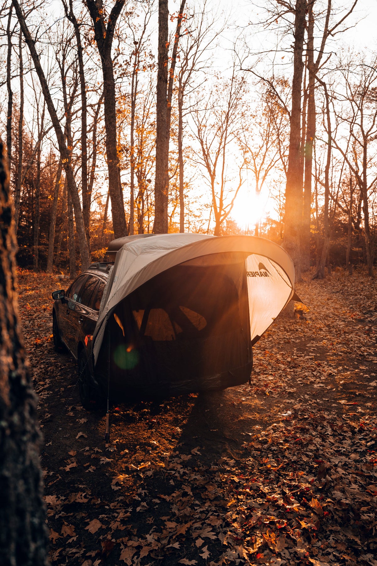 Napier tent awning camping and overlanding set up in the forest