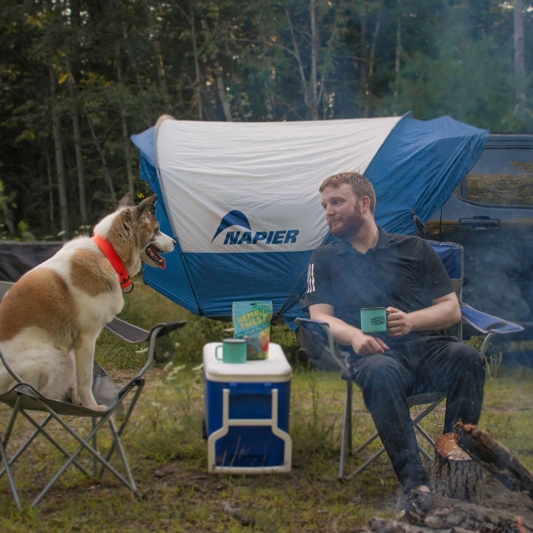 ford maverick bed tent Ford Maverick Truck Tent