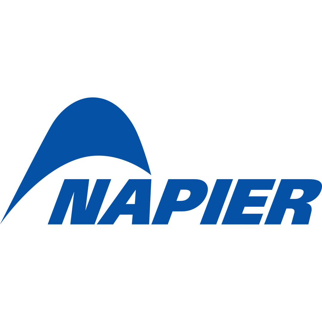 Napier logo