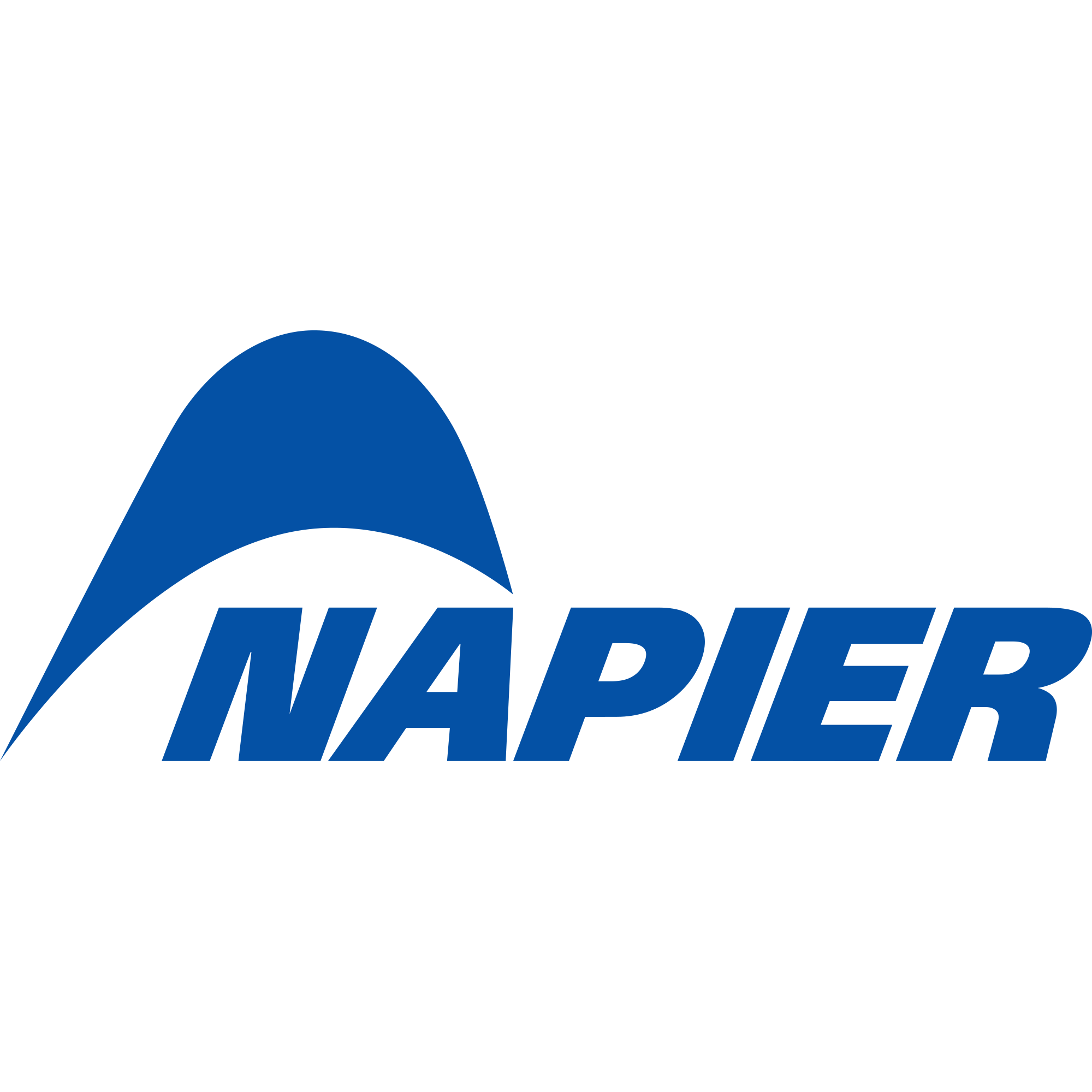 Napier logo