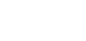 Napier logo white